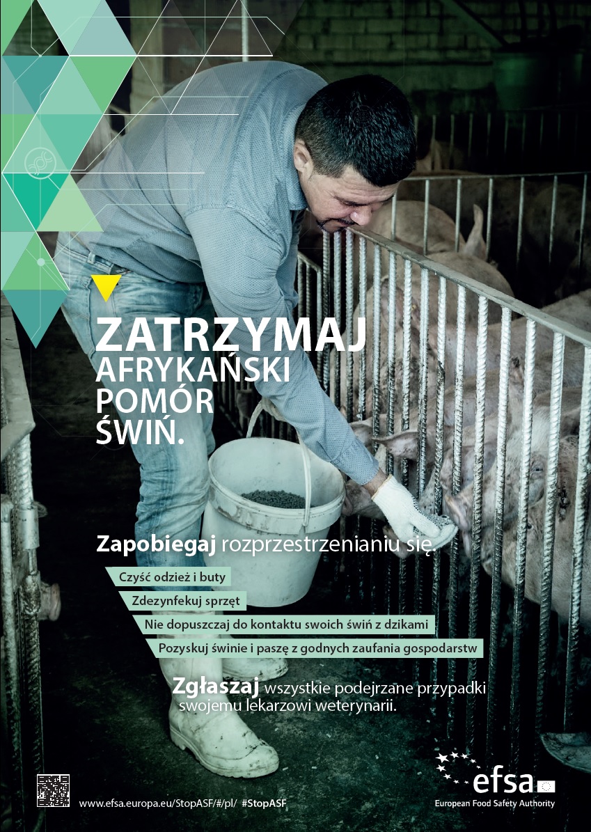 pomor